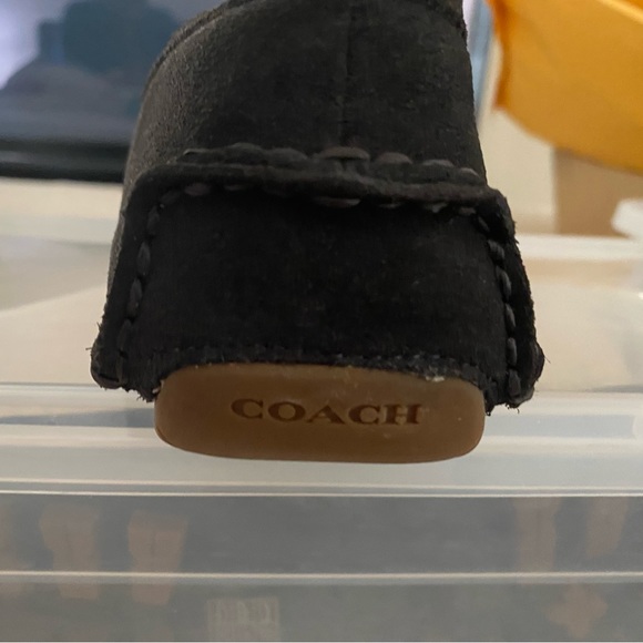 Coach Drivers - Picture 7 of 7